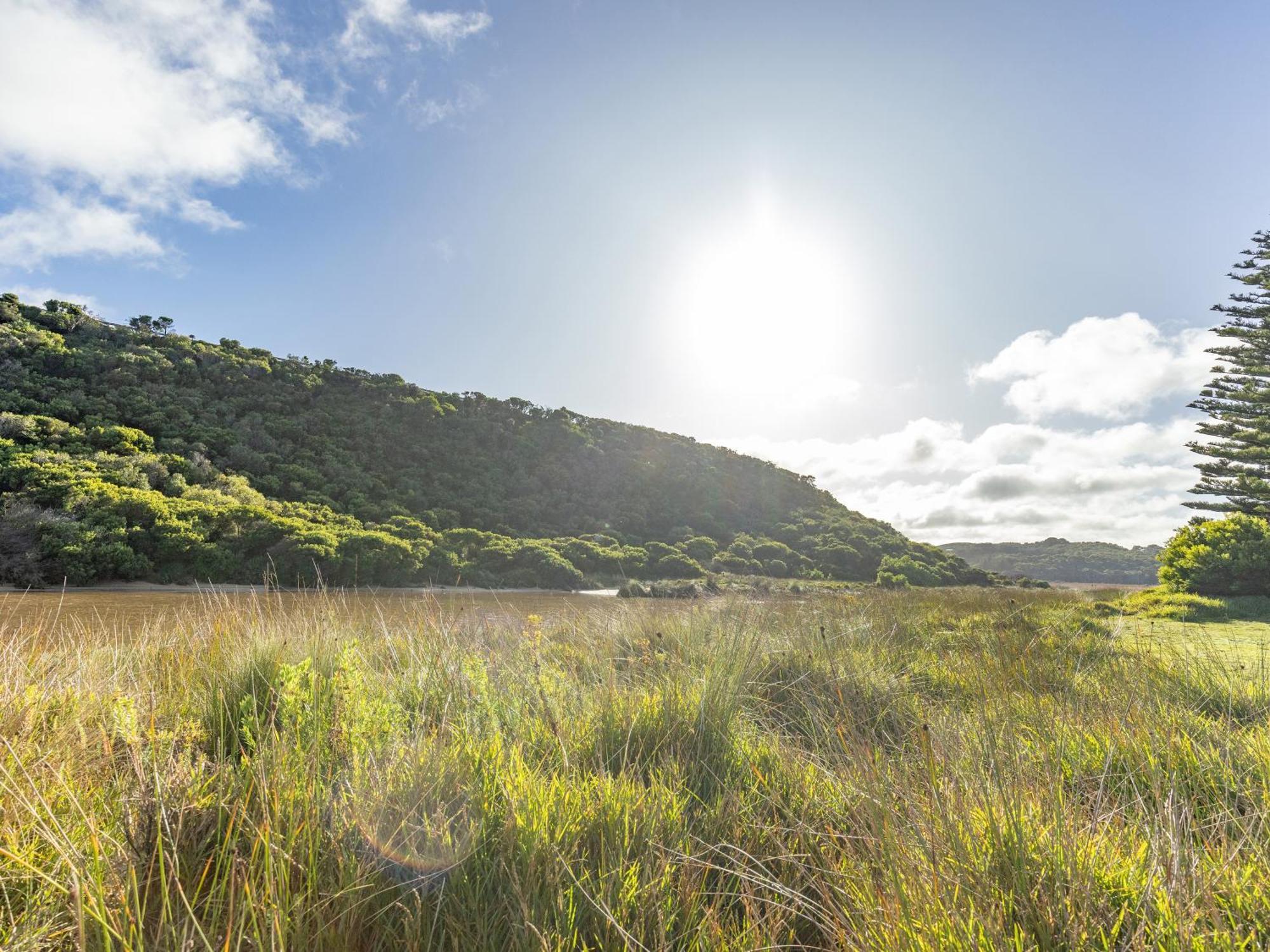 Nrma Port Campbell Holiday Park المظهر الخارجي الصورة