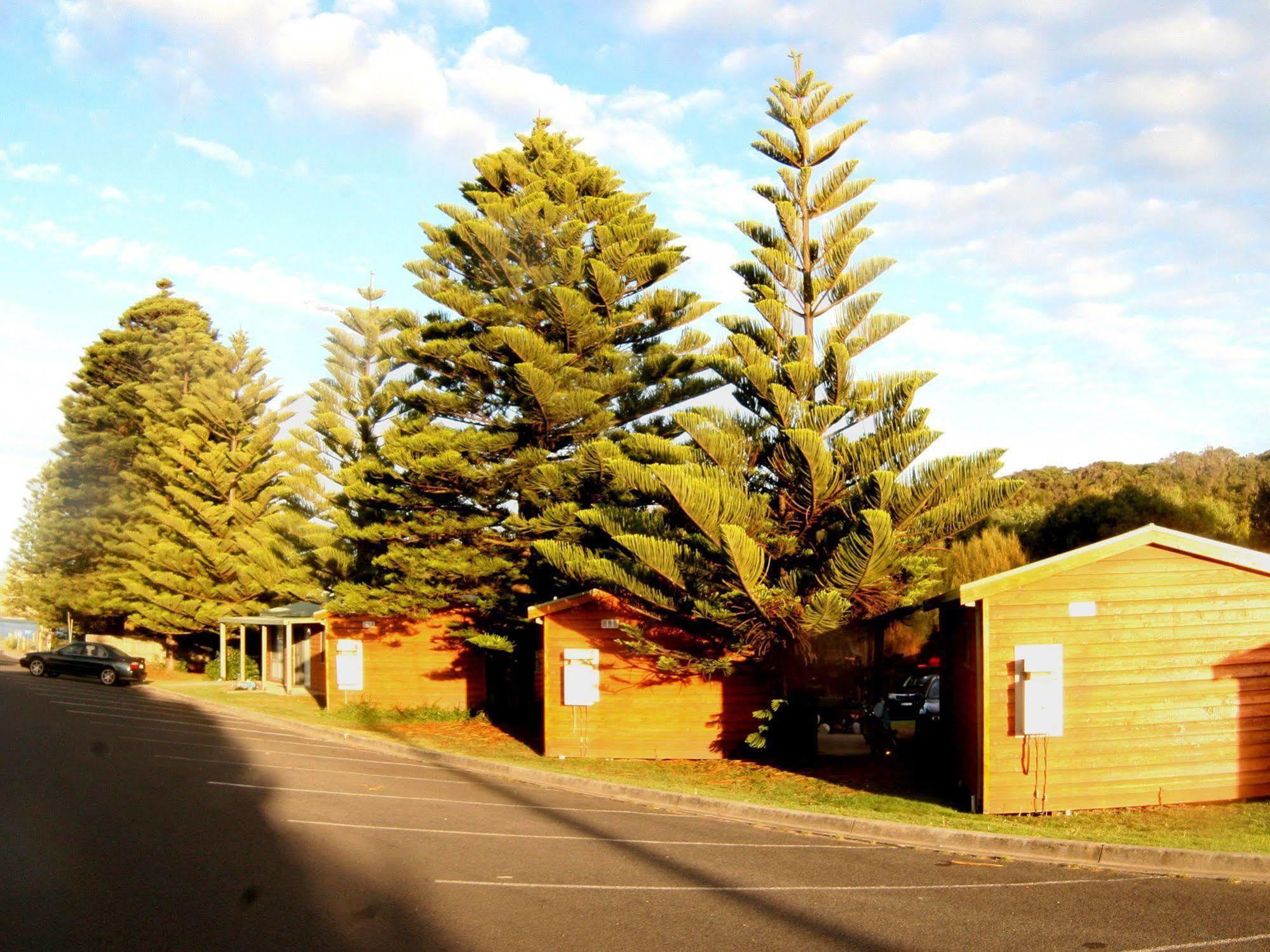 Nrma Port Campbell Holiday Park المظهر الخارجي الصورة